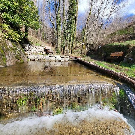 La Bouletiere Panzió Dourbies Kültér fotó