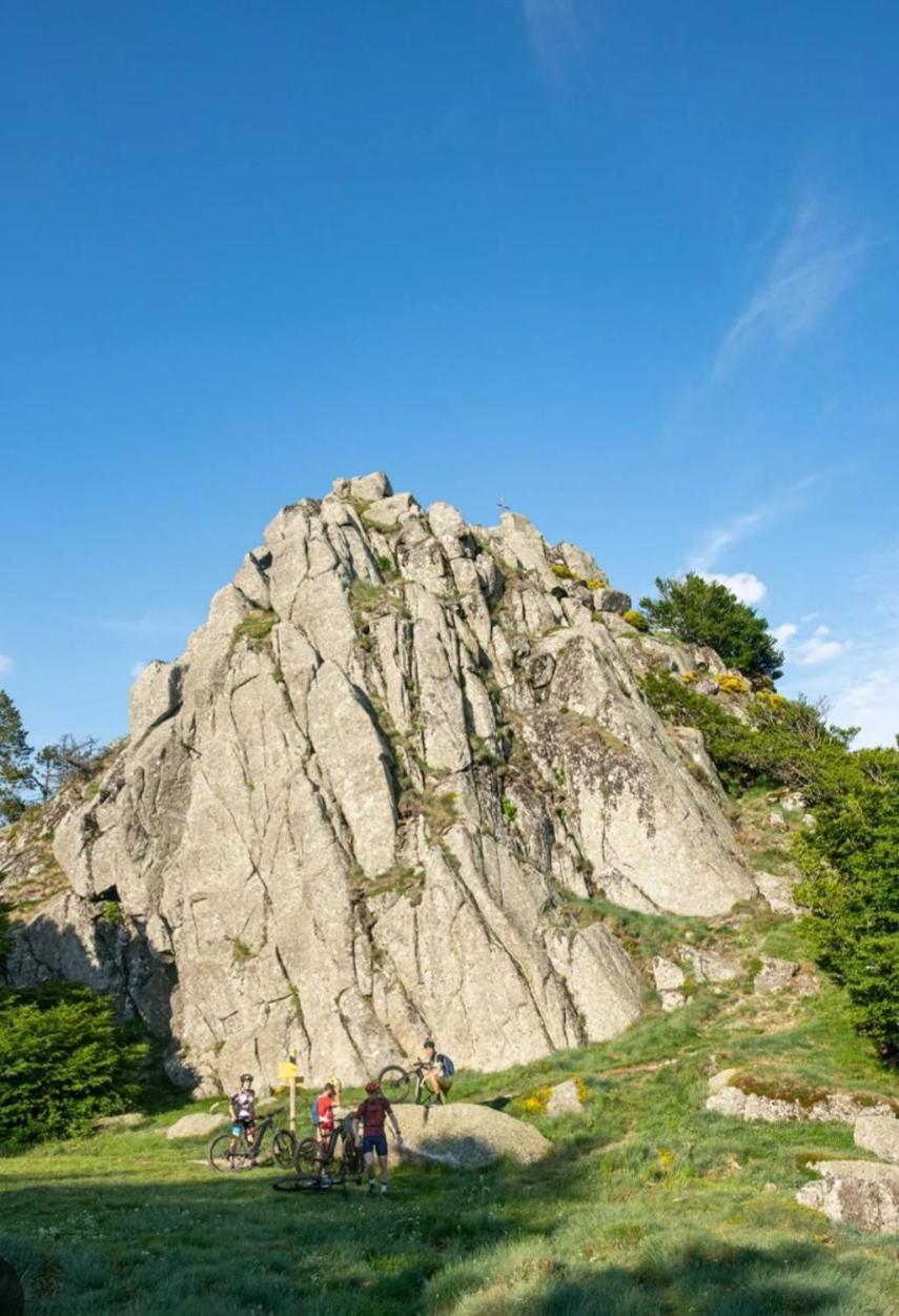 La Bouletiere Panzió Dourbies Kültér fotó