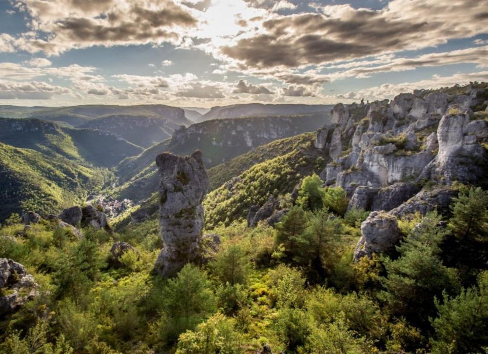 La Bouletiere Panzió Dourbies Kültér fotó